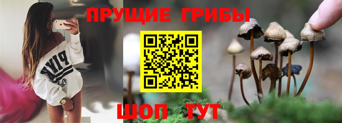 Видное  Псилоцибиновые грибы мицелий  Вход с VPN 